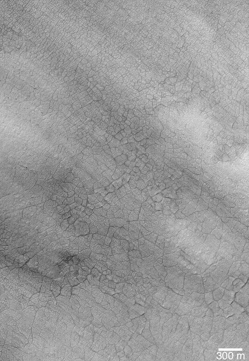 Thaw - Earth Ground Thaw - Earth Ground