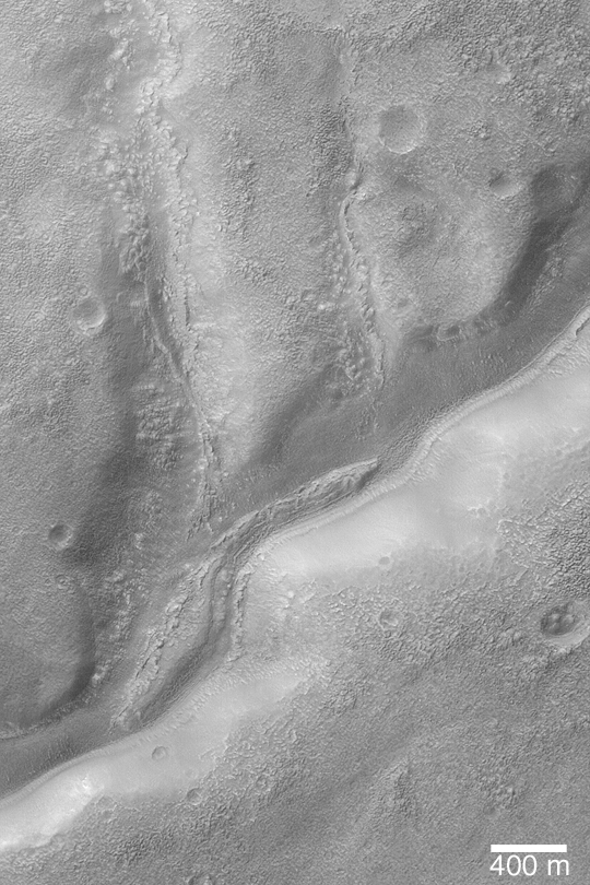 Dettaglio delle valli ramificate nella Warrego Valles immortalate dal Mars Global Surveyor della NASA. Credits: NASA/JPL/Malin Space Science Systems